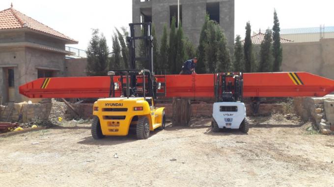 Singolo gruppo di lavoro 5 Ton Overhead Crane della trave 6m che sollevano 11