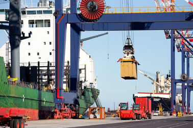 Altezza di elevazione di Cantilever Mobile Gantry Crane For Container Yard Customized del modello di RMG